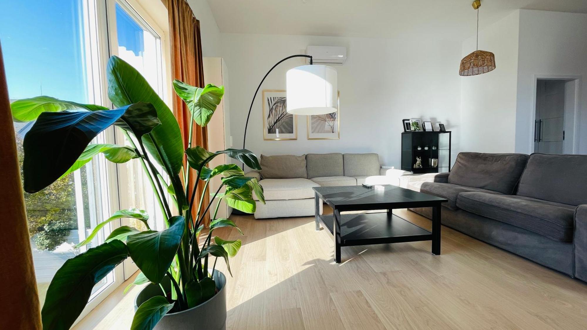 House Flow, 3 Room, Free 2 Parking Bratislava Exteriör bild